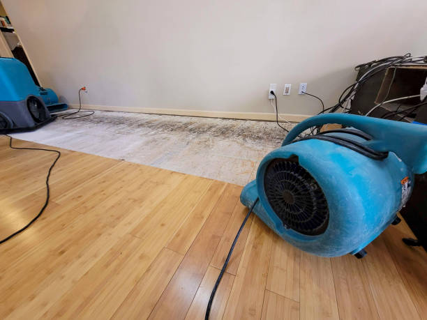 Professional Basement Flood Cleanup technician working in Riverside, MD